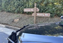 Montecito Man Arrested After Allegedly Shooting Man Walking His Dog